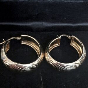 Elegant Gold Hoop Earrings